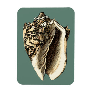 Teal Conch Shell Magnet