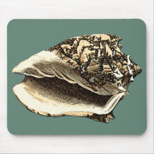 Teal Conch Shell Mouse Pad