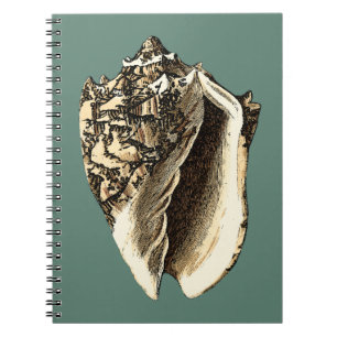 Teal Conch Shell Notebook