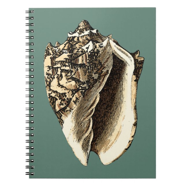 Teal Conch Shell Notebook (Front)