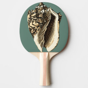 Teal Conch Shell Ping Pong Paddle