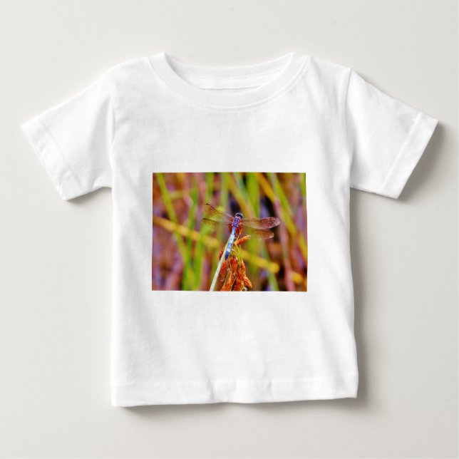Teal Dragonfly on sedge Baby T-Shirt (Front)