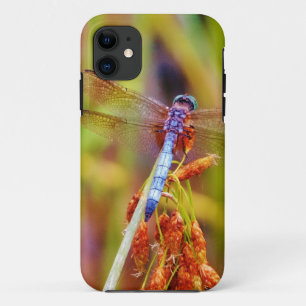 Teal Dragonfly on sedge iPhone 11 Case