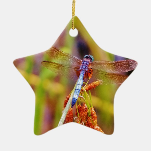 Teal Dragonfly on sedge Ceramic Tree Decoration (Front)