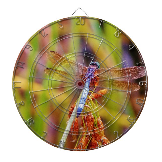 Teal Dragonfly on sedge Dartboard (Front)