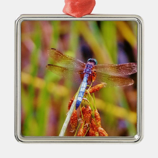 Teal Dragonfly on sedge Metal Tree Decoration (Front)