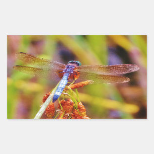 Teal Dragonfly on sedge Rectangular Sticker