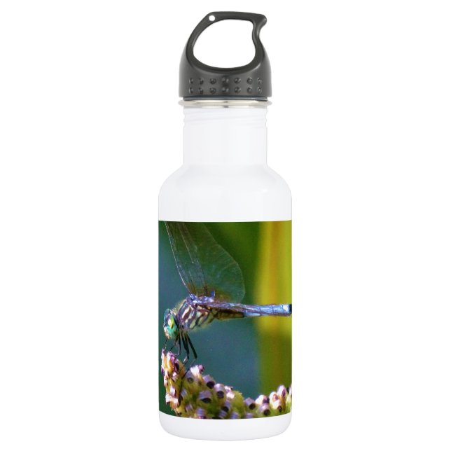 Teal eyed Dragonfly 532 Ml Water Bottle (Front)