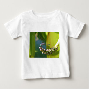 Teal eyed Dragonfly Baby T-Shirt
