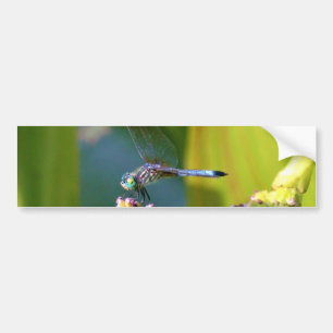 Teal eyed Dragonfly Bumper Sticker