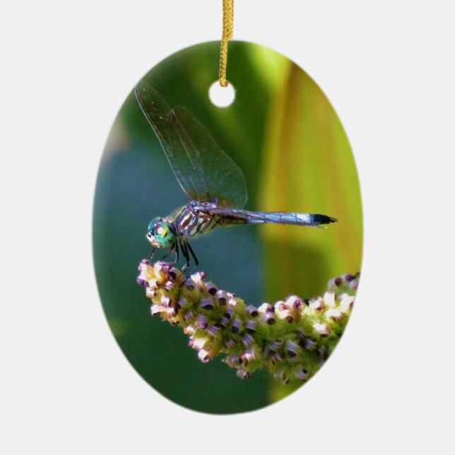Teal eyed Dragonfly Ceramic Tree Decoration (Front)