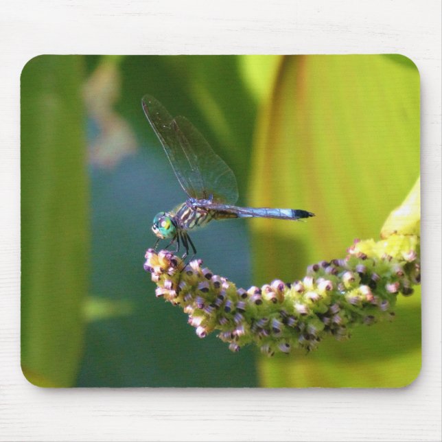 Teal eyed Dragonfly Mouse Pad (Front)