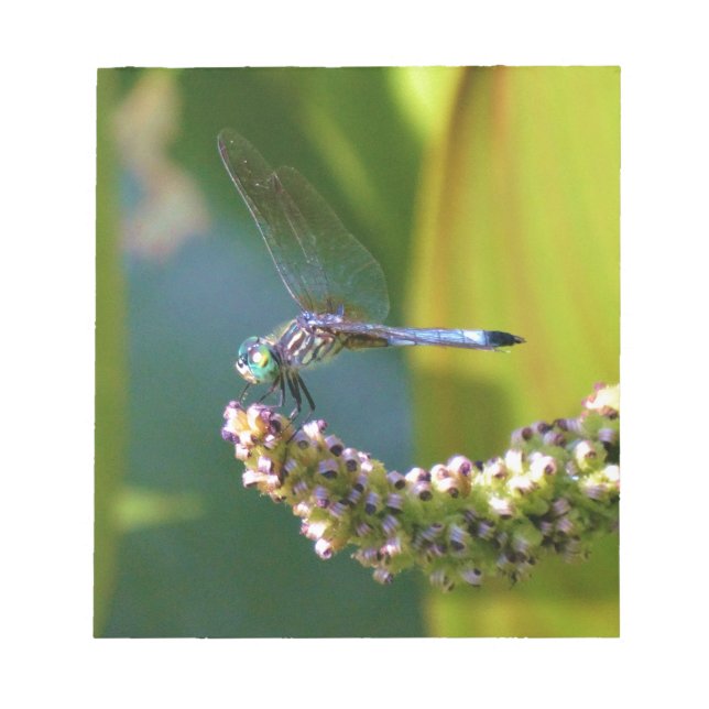 Teal eyed Dragonfly Notepad (Front)