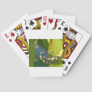 Teal eyed Dragonfly Playing Cards