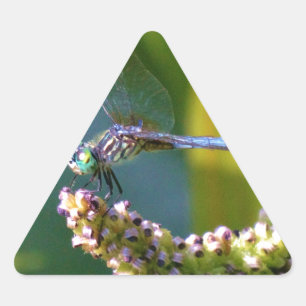 Teal eyed Dragonfly Triangle Sticker