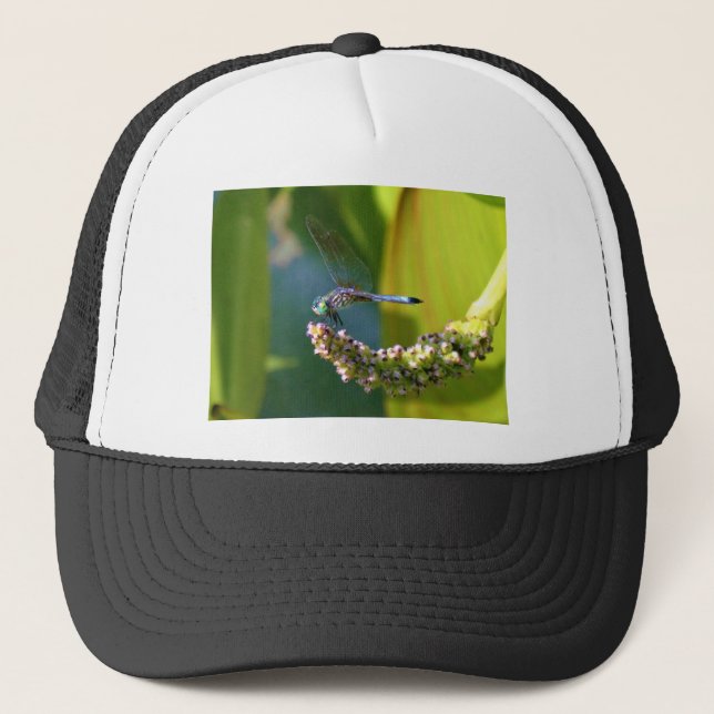 Teal eyed Dragonfly Trucker Hat (Front)