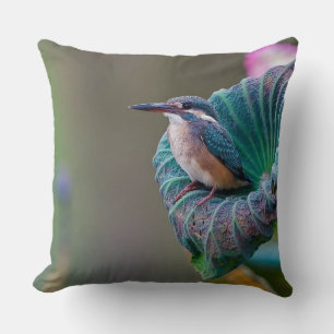 Teal Feather Wildlife Bird Photography Cushion