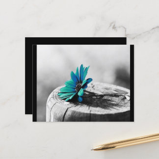 Teal Flower Postcard