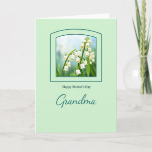 Teal Frame Mothers Day Grandma Card