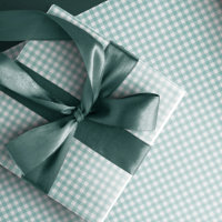Teal gingham simple cute small checks plaid