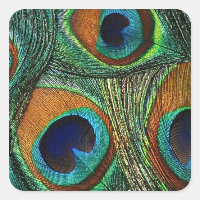 Teal Green Blue Peacock Feather Stickers / Seals (Front)