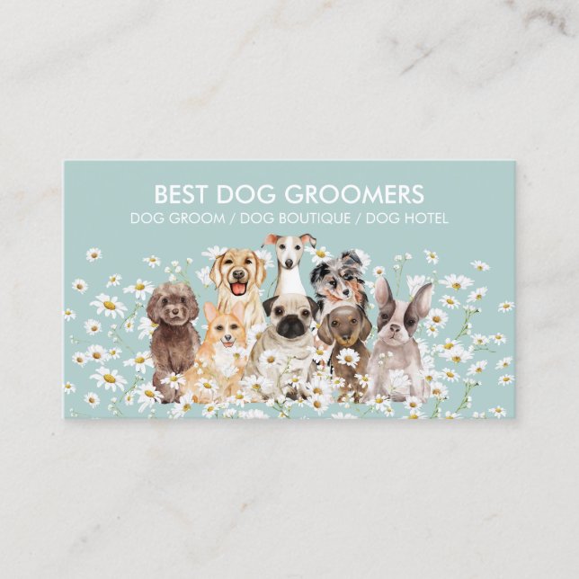 Teal Green Daisy PetSitter dog care veterinary Business Card (Front)