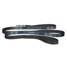 Teal Green Plaid Custom Name Dog Leash