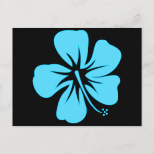 Teal Hibiscus Postcard
