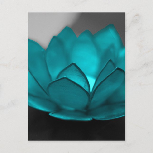 Teal Lotus Postcard (Front)