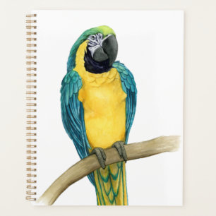 Teal Macaw Planner