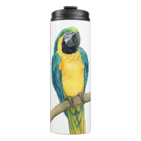 Teal Macaw