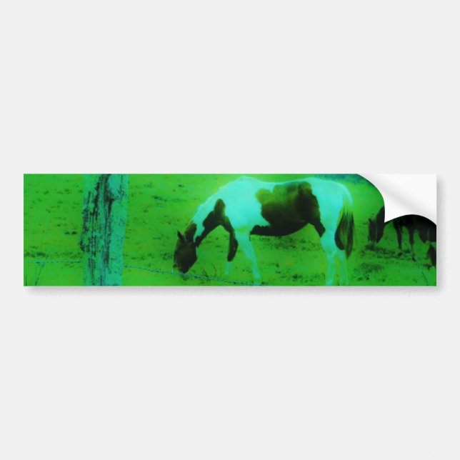Teal mist Reto coloured painted pony Horse Bumper Sticker (Front)