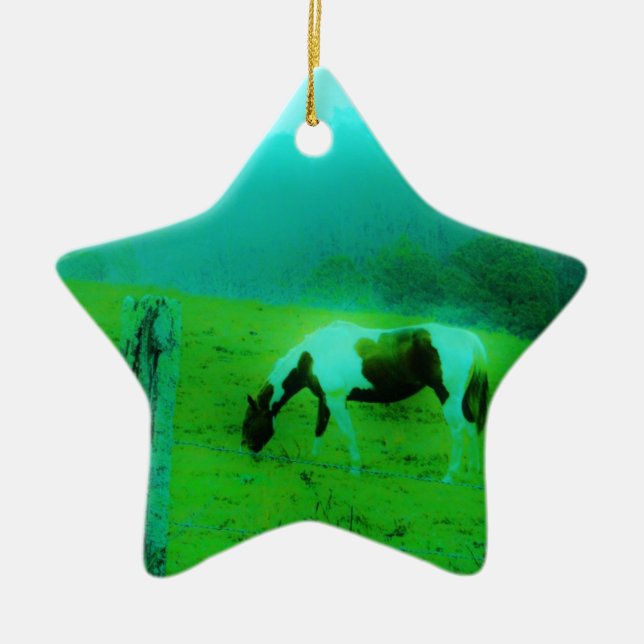 Teal mist Reto coloured painted pony Horse Ceramic Ornament (Front)