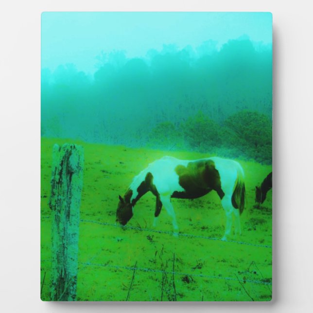 Teal mist Reto coloured painted pony Horse Plaque (Front)