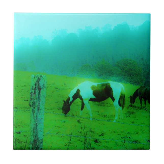 Teal mist Reto coloured painted pony Horse Tile (Front)
