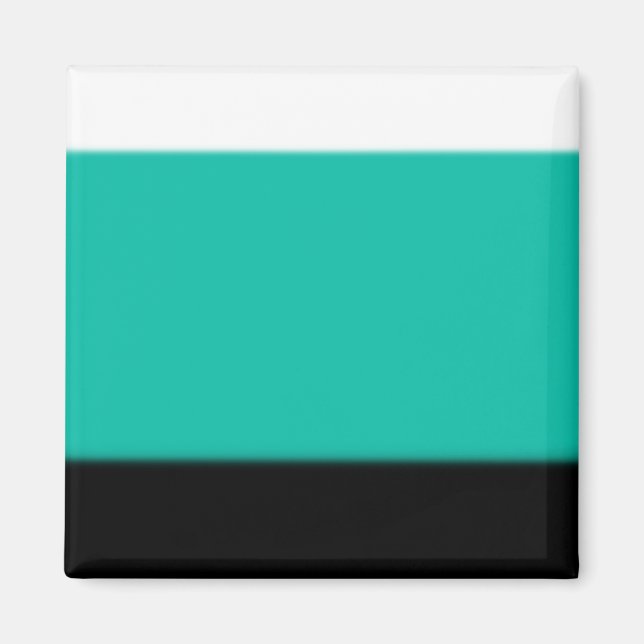 Teal Ombre Magnet (Front)