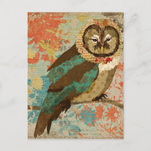 Teal Owl Postcard