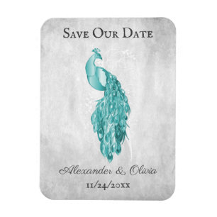 Teal Peacock Save The Date Magnet