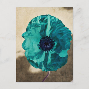Teal Poppy Postcard