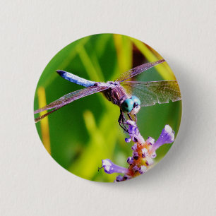 Teal & purple Dragonfly 6 Cm Round Badge