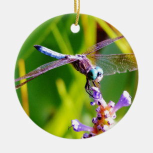 Teal & purple Dragonfly Ceramic Ornament