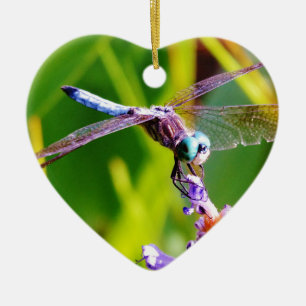 Teal & purple Dragonfly Ceramic Tree Decoration