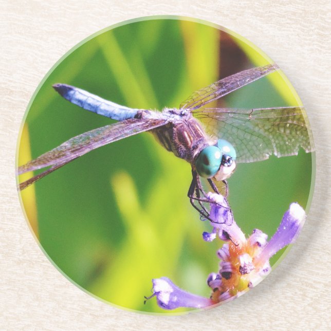Teal & purple Dragonfly Coaster (Front)