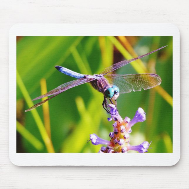 Teal & purple Dragonfly Mouse Pad (Front)