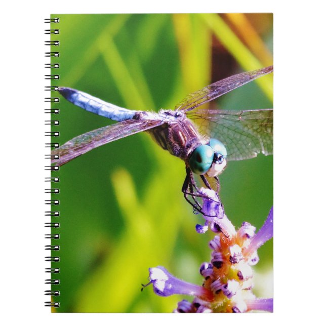 Teal & purple Dragonfly Notebook (Front)