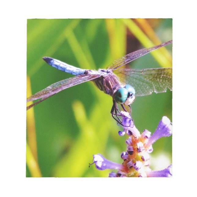 Teal & purple Dragonfly Notepad (Front)
