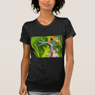Teal & purple Dragonfly T-Shirt