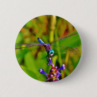 Teal Rainbow Dragonfly 6 Cm Round Badge
