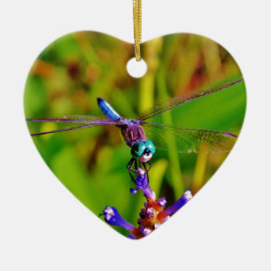 Teal Rainbow Dragonfly Ceramic Tree Decoration