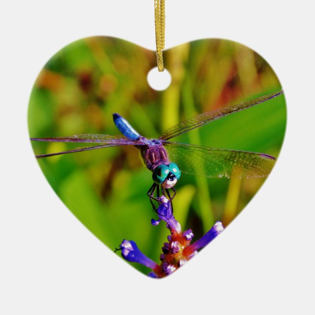 Teal Rainbow Dragonfly Ceramic Tree Decoration (Front)